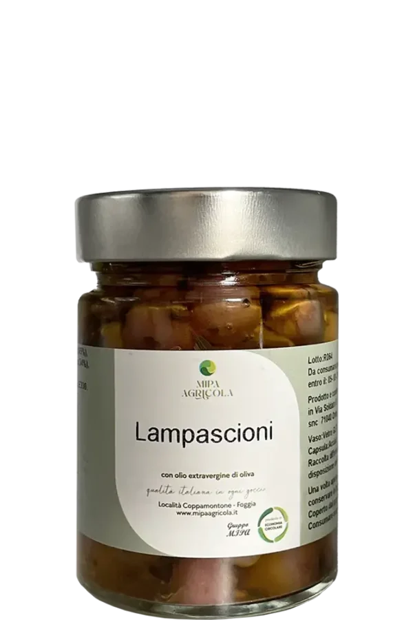 Lampascioni in Olio EVO