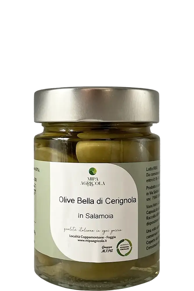 Olive Bella di Cerignola