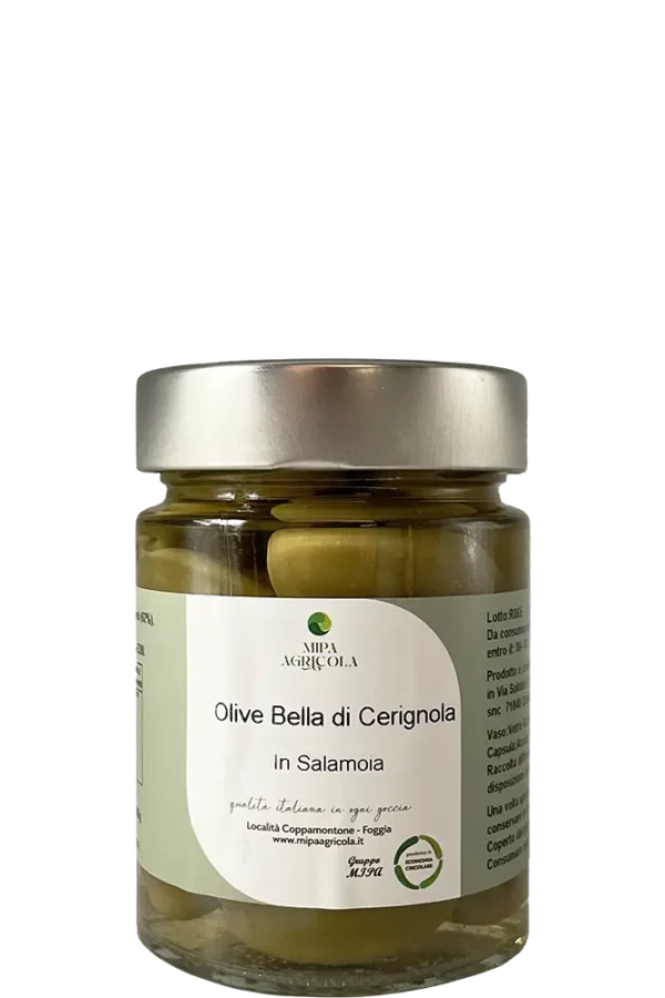 Olive Belle di Cerignola